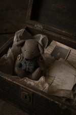 Load image into Gallery viewer, Teddy Bear 1/1
