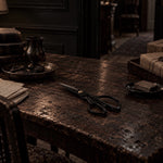 Load image into Gallery viewer, The Good Scissors
