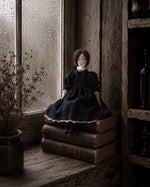 Load image into Gallery viewer, Jane Eyre 1/1
